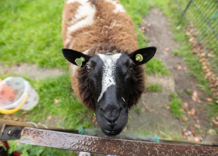 Casa vacanze Steenenburg Zicht *