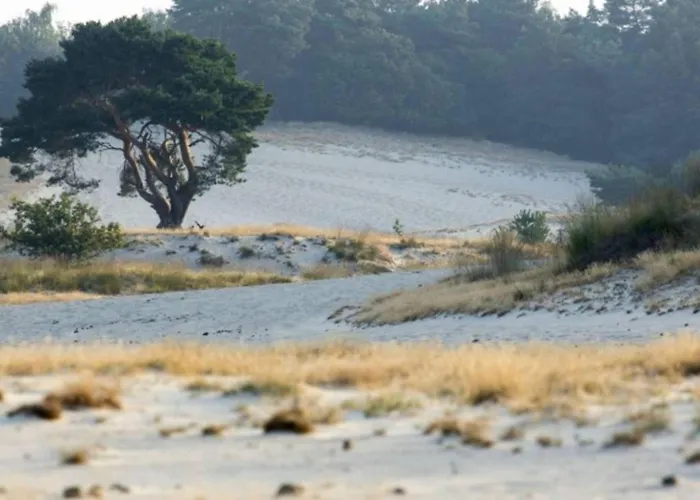 Casa vacanze Steenenburg Zicht *