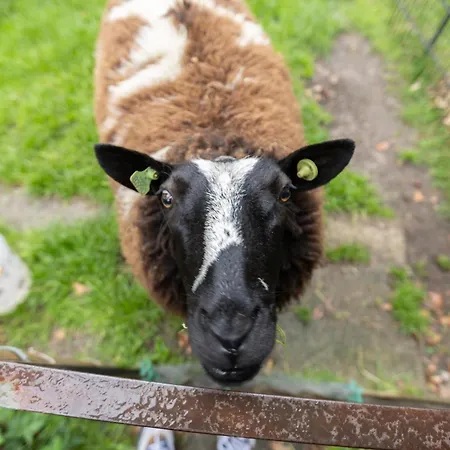 Feriehus Steenenburg Zicht *