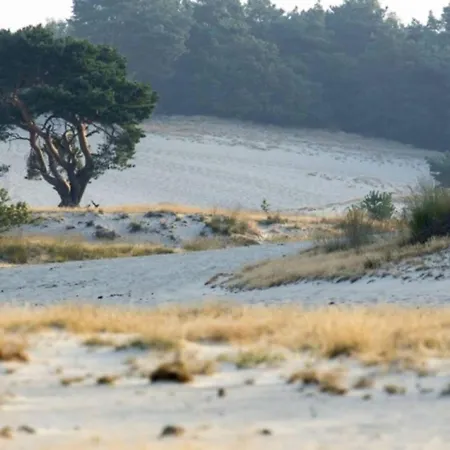 Feriehus Steenenburg Zicht *